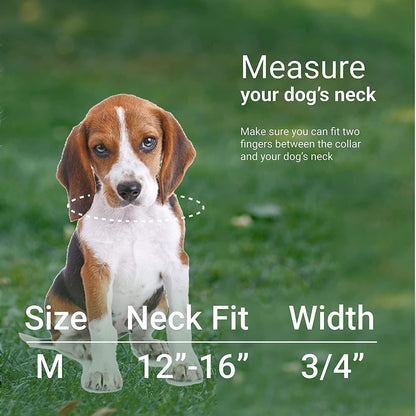 Nylon Dog Collar Aztec Geometric Pattern Ethnic Teal 12-16 Inch