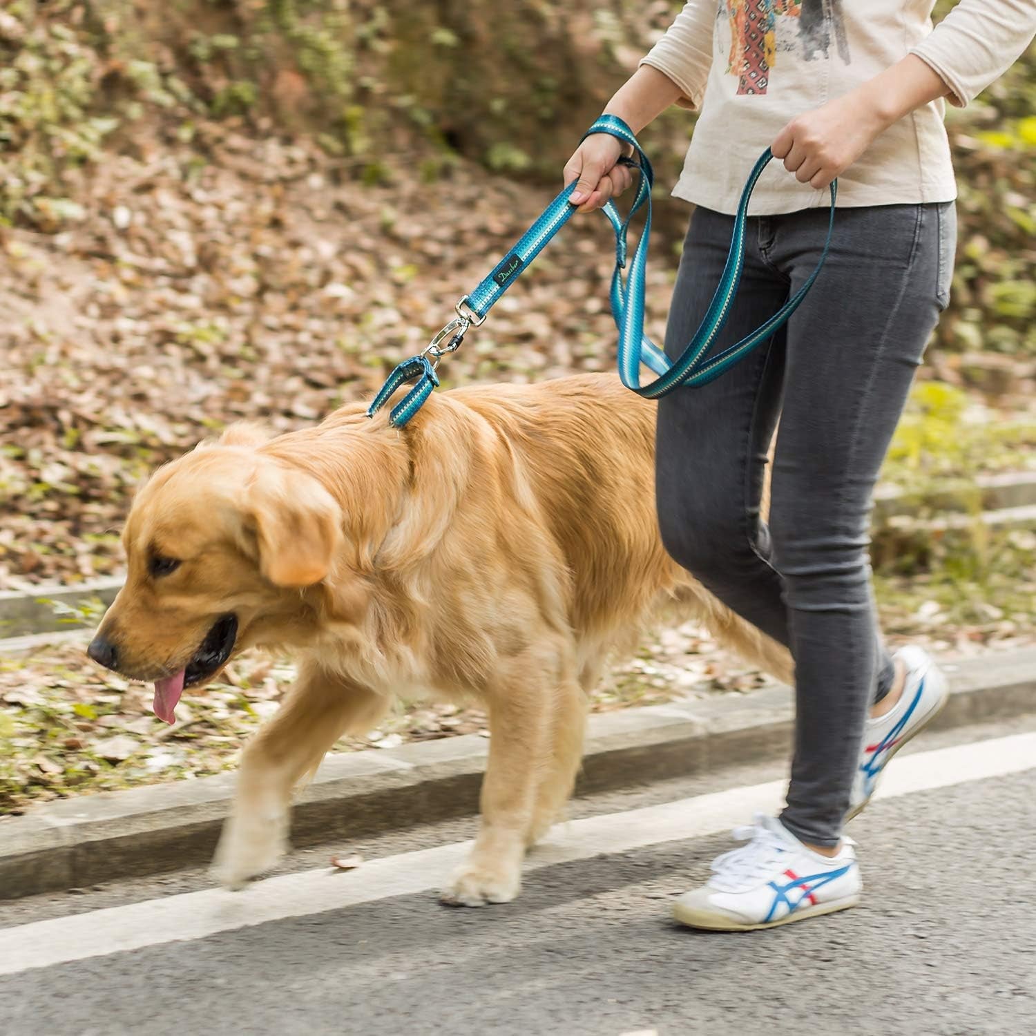Martingale Dog Collar No Pull Pet Collar Heavy Duty Dog Martingale Collars Silky with Unique Geometric Pattern for Medium and Large Dogs (Large, Turquoise)