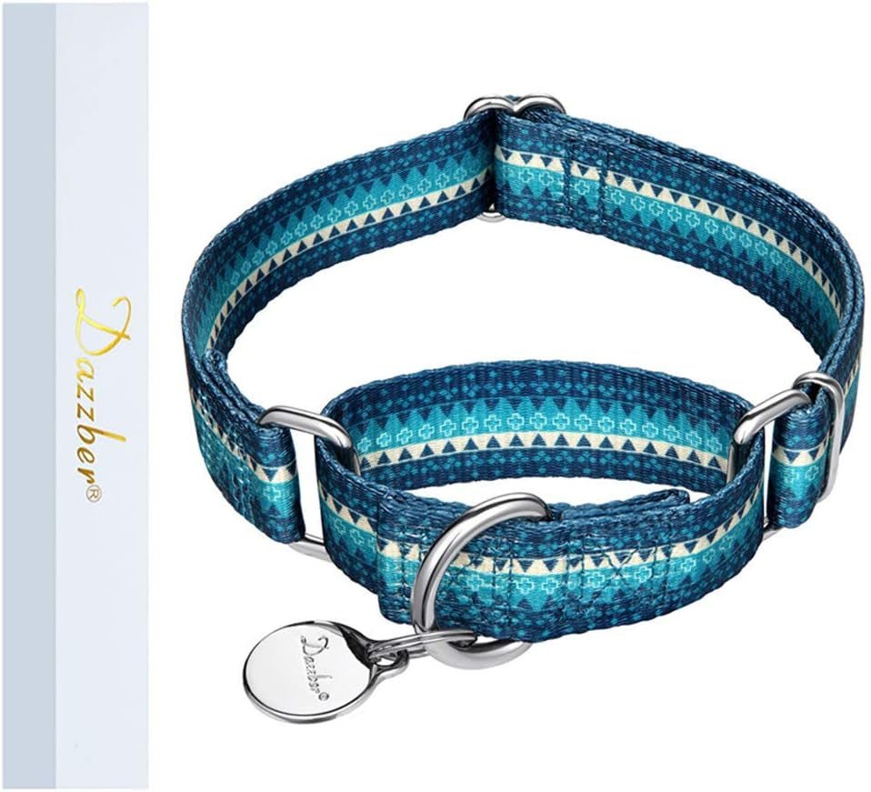 Martingale Dog Collar No Pull Pet Collar Heavy Duty Dog Martingale Collars Silky with Unique Geometric Pattern for Medium and Large Dogs (Large, Turquoise)