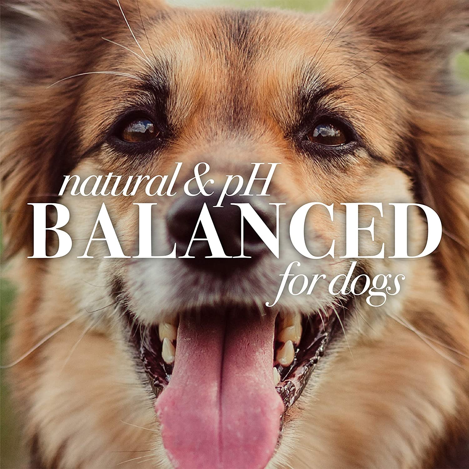 Multipurpose Dog Wipes with Honey, 98% Natural Origin Formulas, Hypoallergenic Dogs Wipe, Canine Cleaning Sheets for Paws and Butt, 3 Pk, 50Ct